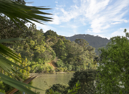 BOOK A FREE APPRAISAL